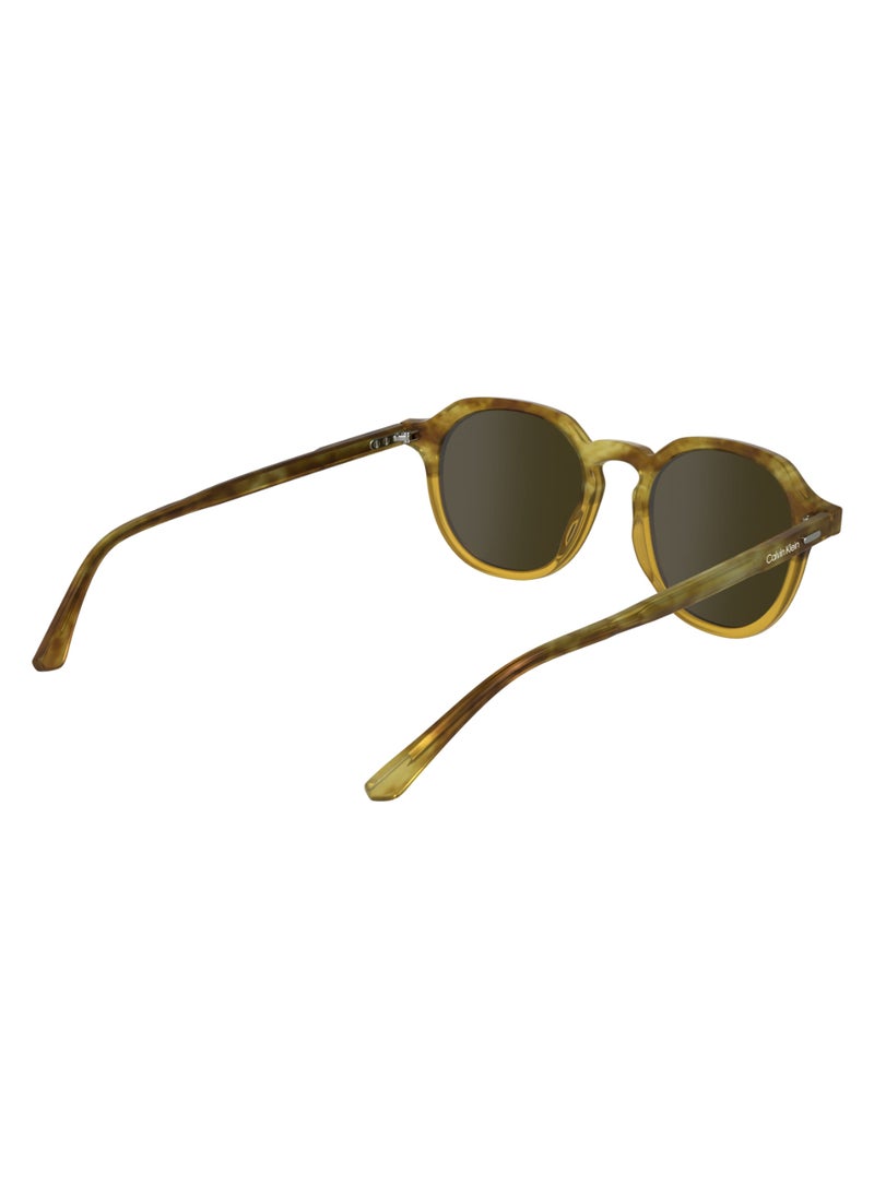 FULL RIM ACETATE ACETATE CALVIN KLEIN SUN CK24538S 5120 (255) HONEY HAVANA/HONEY