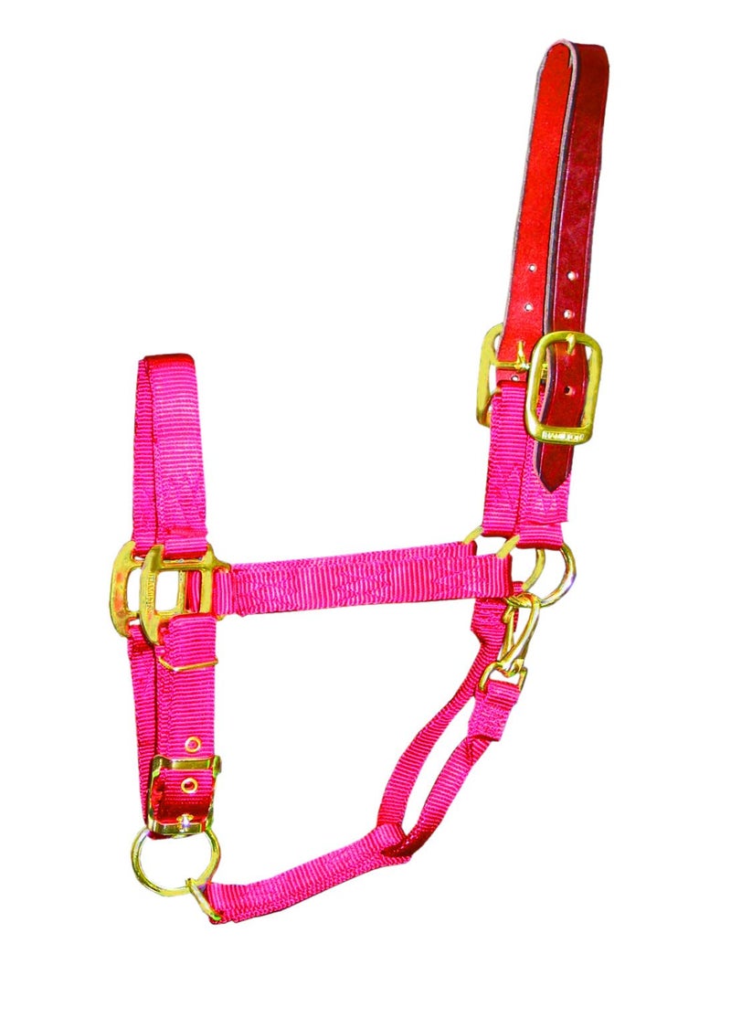 Hamilton 1-Inch Nylon Adjustable Horse Halter with Leather Head Poll and Throat Snap, Average, Red - Image 2