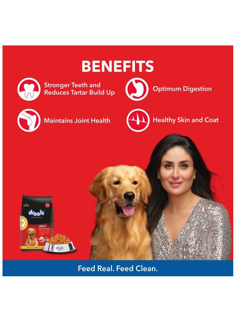 Drools Adult Dry Dog Food Chicken And Egg 400g - Image 3