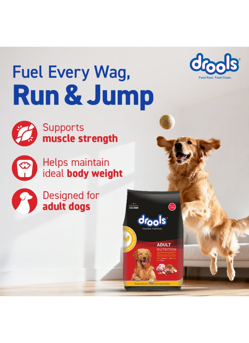 Drools Adult Dry Dog Food Chicken And Egg - Image 3