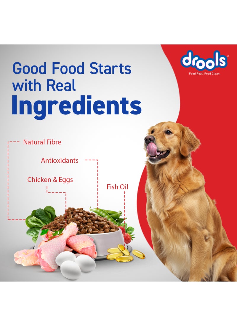 Drools Adult Dry Dog Food Chicken And Egg - Image 5
