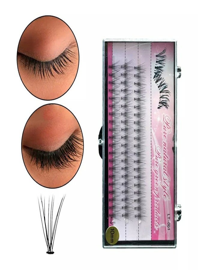 COSLUXE Eyelash Extension, False Eyelash,Individual Lashes,Natural & Lightweight - 60pcs (12mm) multicolors - Image 2