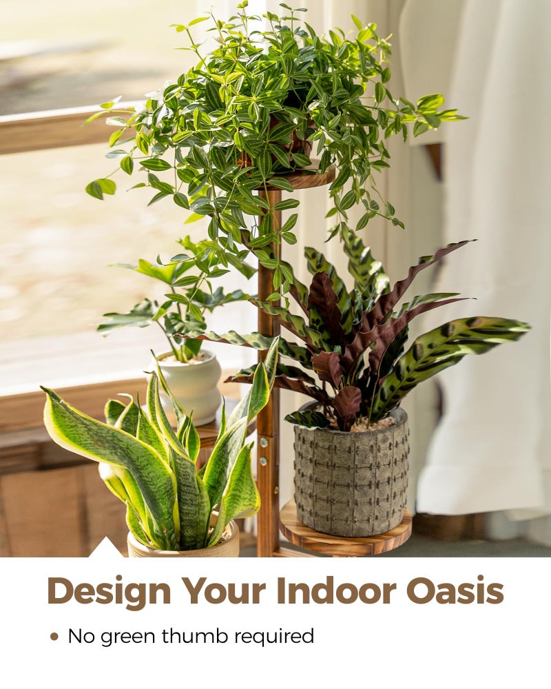 Bamworld Plant Stand Indoor Plant Shelf 4 Tier Wood Plant Stand for Multiple Plants Tall Corner Plant Stands for Outdoor Round Flower Stand Plant Holder for Living Room Patio Garden Balcony Brown - Image 3