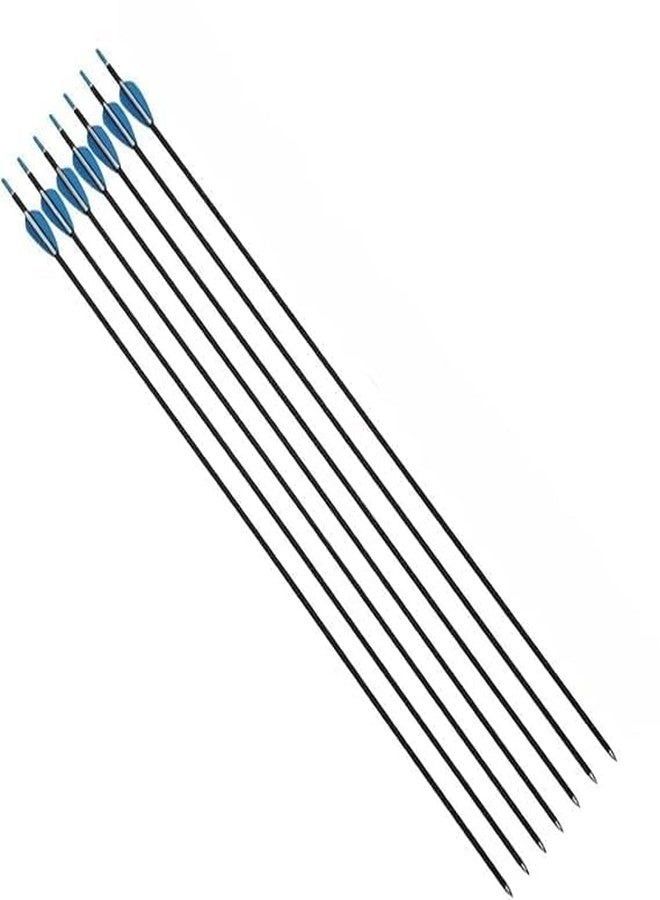 Nema NM Nema 30 inch Archery Arrows for Recurve Bow Fiberglass Target Practice (6 pcs) - Blue - Image 1