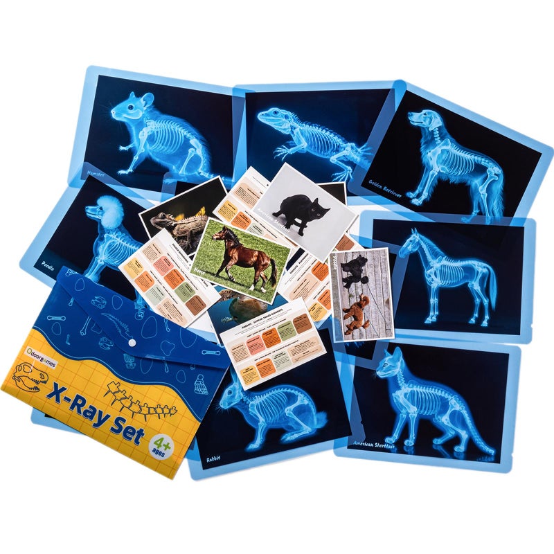 Odoorgames Pet Series Animal Xrays for Kids Pet XRays Set Light Table Manipulatives Veterinarian Play Set Dramatic Play Vet Clinic - Image 3