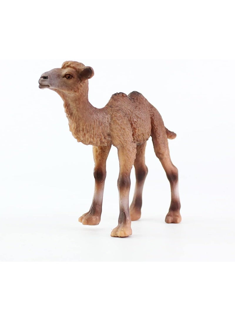 هالامودو 2 قطعة بكتريان الجمال والطفل أرقام الحيوانات ، مجموعة لعبة الجمال الواقعية ، الزينات الحيوانية البرية ، لعب معرفية حديقة حيوانات الغابة ، هدايا عيد ميلاد الأطفال - Image 2