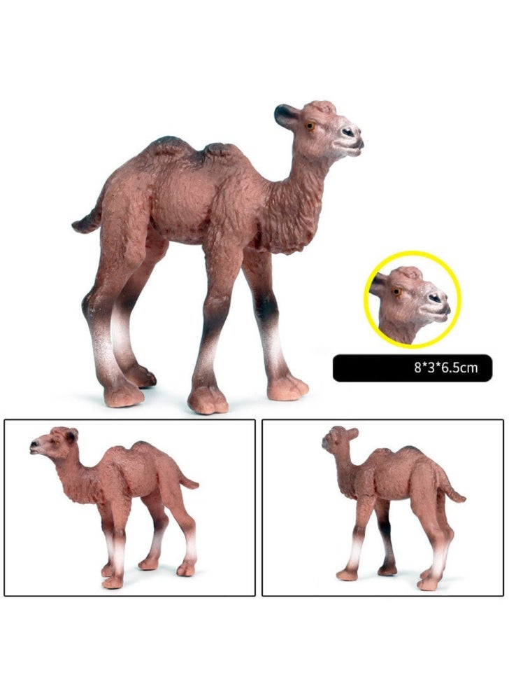 هالامودو 2 قطعة بكتريان الجمال والطفل أرقام الحيوانات ، مجموعة لعبة الجمال الواقعية ، الزينات الحيوانية البرية ، لعب معرفية حديقة حيوانات الغابة ، هدايا عيد ميلاد الأطفال - Image 5