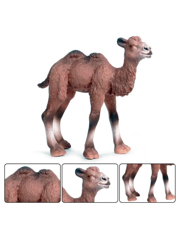 هالامودو 2 قطعة بكتريان الجمال والطفل أرقام الحيوانات ، مجموعة لعبة الجمال الواقعية ، الزينات الحيوانية البرية ، لعب معرفية حديقة حيوانات الغابة ، هدايا عيد ميلاد الأطفال - Image 4