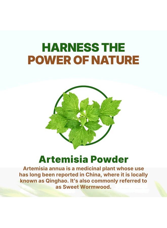 Go Nutra Artemisia Powder 8 oz | Sweet Wormwood Powder | Pure Artemisia Annua Artemisinin Herbal Supplement | Non-GMO - Image 4