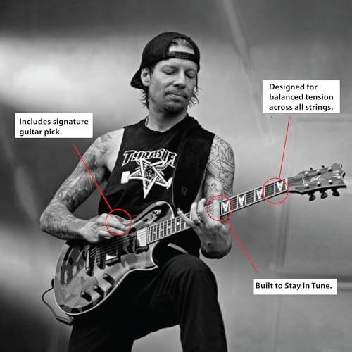 SIT Strings Will Adler Lamb Of God Signature Series Electric Guitar Strings (S.I.T.), Custom 10-48, SS-S1048WA - Image 2