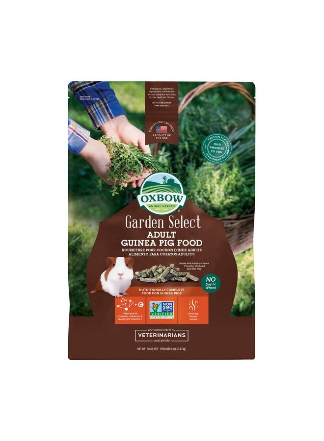 أوكسبو طعام خنازير غينيا من أوكسبو جاردن سيليكت، للبالغين، مصنوع من تبن تيموثي لخنازير غينيا، حبيبات طعام للحيوانات الأليفة مع فيتامين سي، غير معدل وراثيًا، منتجات للحيوانات الأليفة الصغيرة، صنع في الولايات المتحدة الأمريكية، غني بالألياف، كيس 8 أرطال - Image 1