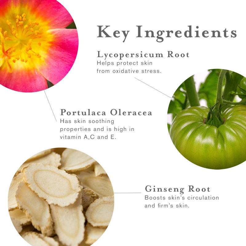 DERMAdoctor Antiperspirant Wipes - Deodorant Wipes, Dermatologist Formulated Hyperhidrosis Treatment for Body Hands Feet | Anti Sweat Wipe, Foot deodorant, Individually Wrapped - 30 Count - Image 5