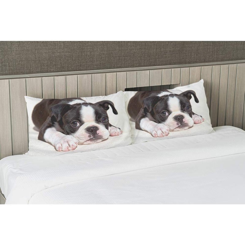 EKOBLA Throw Pillow Cover Boston Terrier Dog Dog Lovely Animal Art Cute Funny Pet Puppy Portrait Style Decor Lumbar Pillow Case Cushion for Sofa Couch Bed Standard Queen Size 20x30 Inch - Image 4