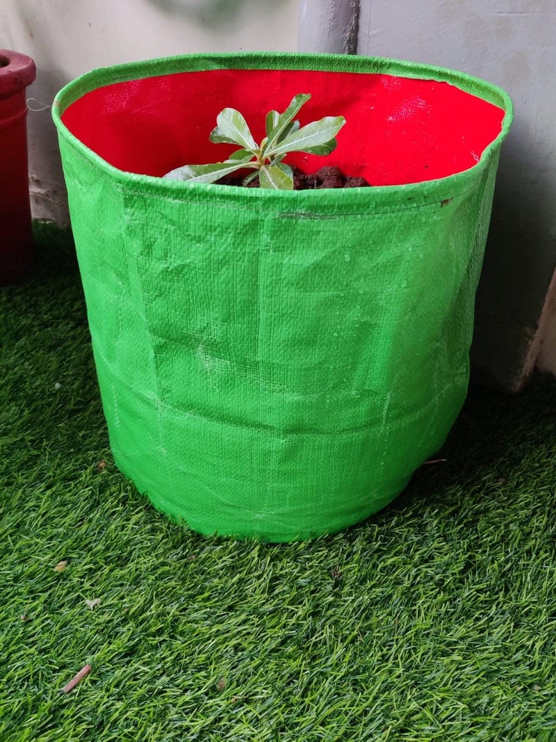 GroWonder Planting Grow Bags 15X15 inches, 230 GSM Strong, Terrace Gardening Vegetable Planting Pots, Woven Fabric Leafy Fruits Growing Containers, Pack of 6 - Image 4
