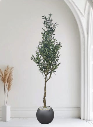 Fruitful olive tree with a large gray pot with an attractive design, make your home more elegant, 215 cm - pzsku/ZED51FB00B3AFE66EE544Z/45/_/1739361855/bc2d768f-0e4b-47b5-8bb1-26f6eebfd6f4