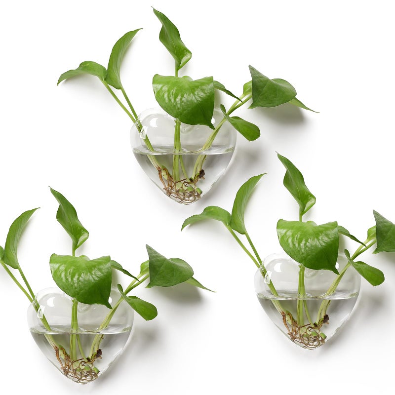 CYZglass Wall Hanging Planter Propagation Station for Indoor Plants Glass Vase Air Plant Holder Gift for Women Girlfriend Plant Lover - Image 1