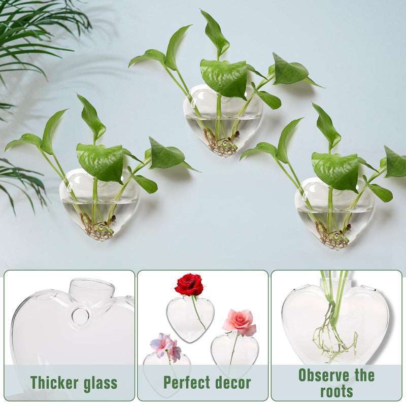 CYZglass Wall Hanging Planter Propagation Station for Indoor Plants Glass Vase Air Plant Holder Gift for Women Girlfriend Plant Lover - Image 2