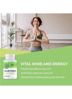 Vimergy Celeryforce ®, 60 Servings – Nerve, Muscle & Cell Support - Powerful Blend Of Magnesium, Inositol, L-Glutamine, L-Taurine & Choline – Non-Gmo, Gluten Free, Kosher, No Soy, Vegan, Paleo  - Image 2