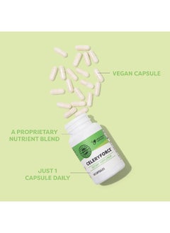 Vimergy Celeryforce ®, 60 Servings – Nerve, Muscle & Cell Support - Powerful Blend Of Magnesium, Inositol, L-Glutamine, L-Taurine & Choline – Non-Gmo, Gluten Free, Kosher, No Soy, Vegan, Paleo  - Image 3
