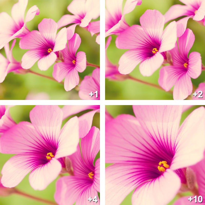 Vivitar مجموعة فلاتر ماكرو قريبة فيفيتار سيريس 1 +1 +2 +4 +10 مع حقيبة (77 مم) - Image 2