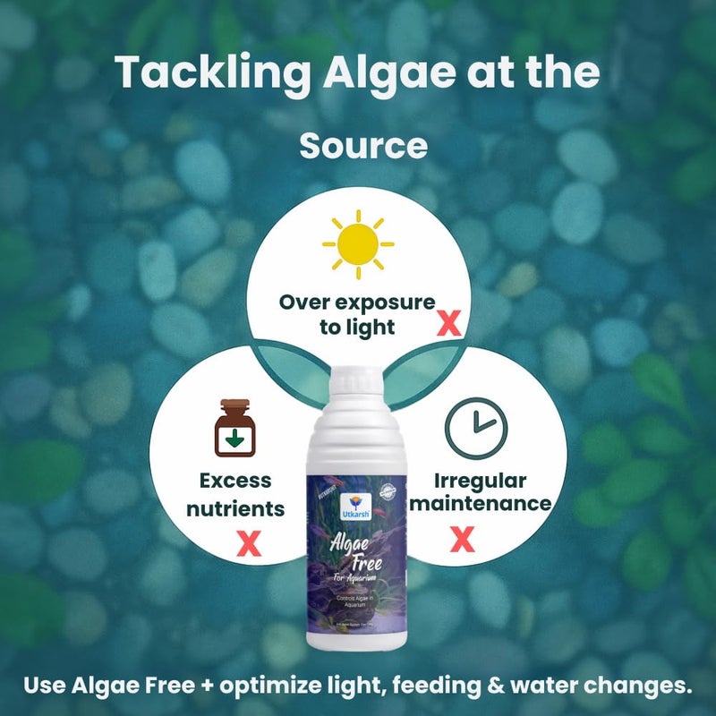 Utkarsh Algae Free for Aquarium Tank | Algae Cleaner, Liquid Algae Scraper for Fish Tank and Algae Remover | Set of 2 of 1 Litre; 2 Litre - Image 5