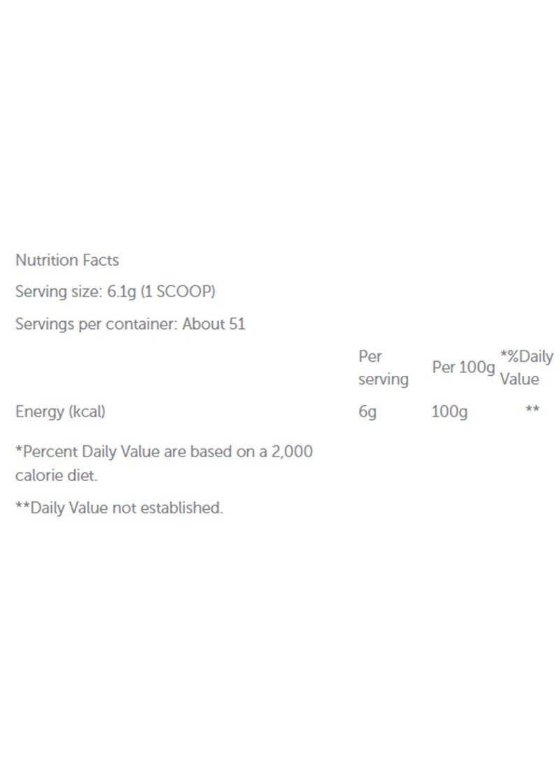 Basix L-Arginine Powder - Unflavored - (310g) - Image 2