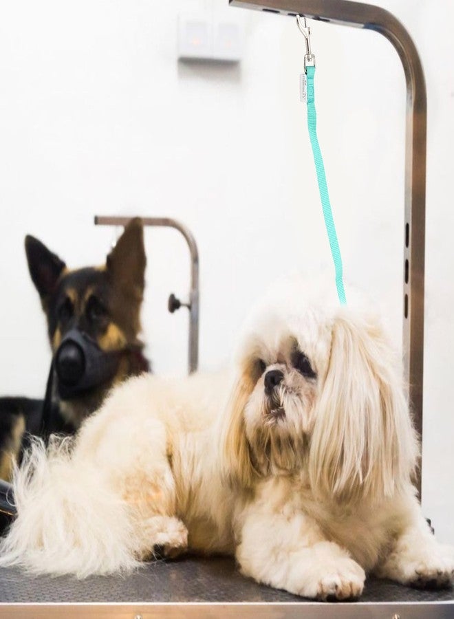 GROOMER ESSENTIALS Quick Release Loop - Turquoise - Image 4