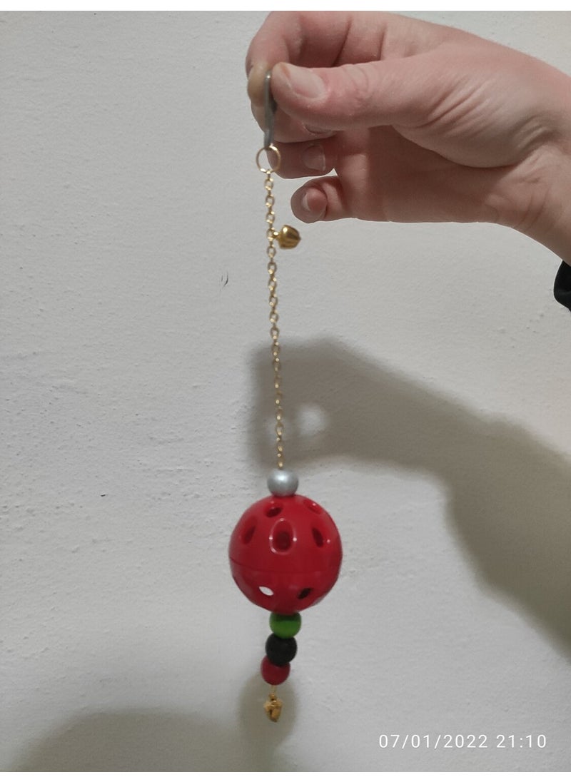 Dmc Pet Store Dmc Chain Ball  - Image 2
