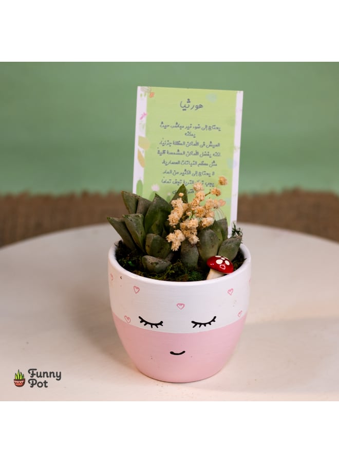 بوت صبار طبيعي - وردي وأبيض - 10*8 سم