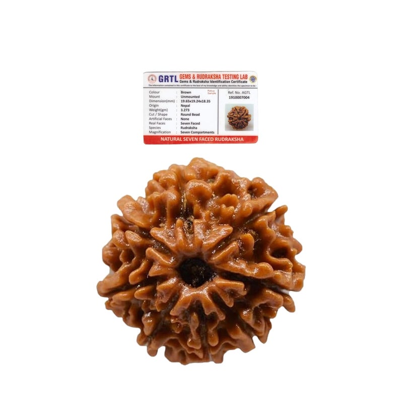 REBUY 8 Mukhi Rudraksha 8 Faced Nepali Rudraksh Bead Rudraksha Original & Certified Rudraksha for Men and Women, Color Brown, Origin Nepal, Bead Size 20-25 MM by - Image 1