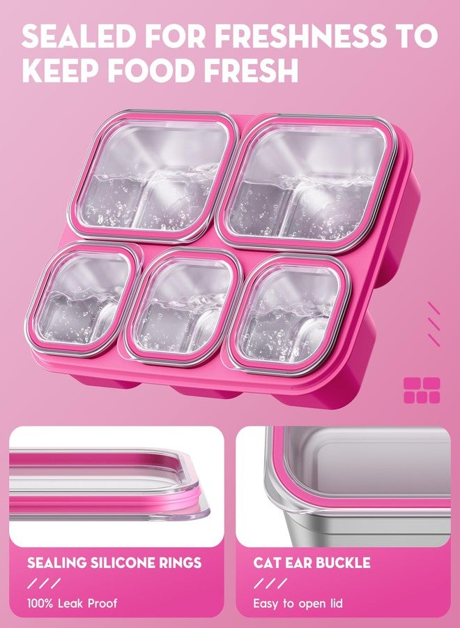BiuLeon Snackle Box Containers, Stainless Steel 5 Compartments Divided Serving Tray with Lid, Removable LeakProof Portable Bento Box for Fruit Candy Nuts Food - School, Picnic and Travel（Pink） - Image 4