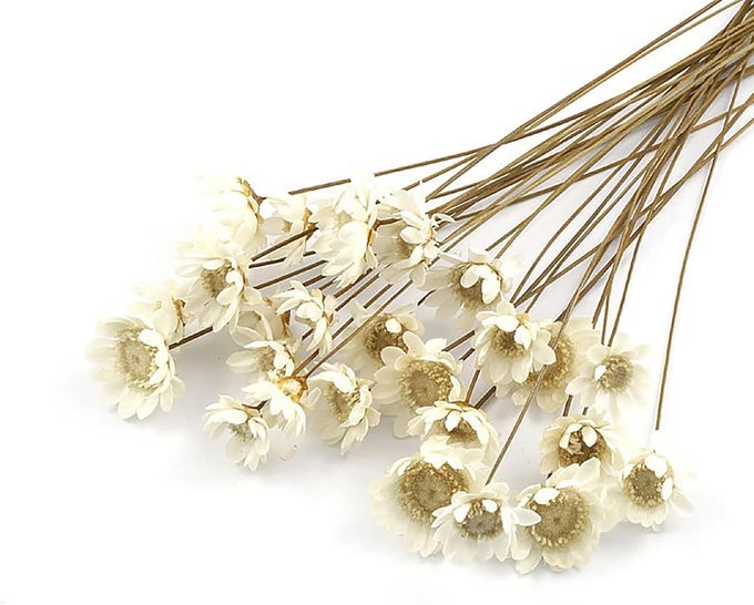 100 STEMS NATURAL DRY FLOWERS BRAZILIAN SMALL STAR DAISY DECORATIVE DRIED FLOWERS MINI DAISY CHAMOMILE BOUQUET FOR WEDDING FLORAL ARRANGEMENTS HOME DECORATIONS WHITE