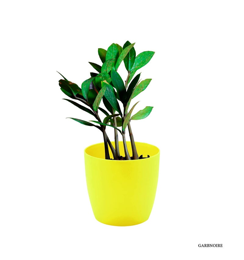 garbnoire Gardening Flower Pots - 4.4 Inch Plastic Flower Pots | Modern Decorative Indoor Outdoor Planters/Pots - Pack of (Yellow, 10) - Image 3
