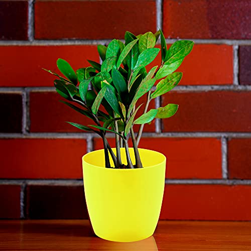 garbnoire Gardening Flower Pots - 4.4 Inch Plastic Flower Pots | Modern Decorative Indoor Outdoor Planters/Pots - Pack of (Yellow, 10) - Image 2
