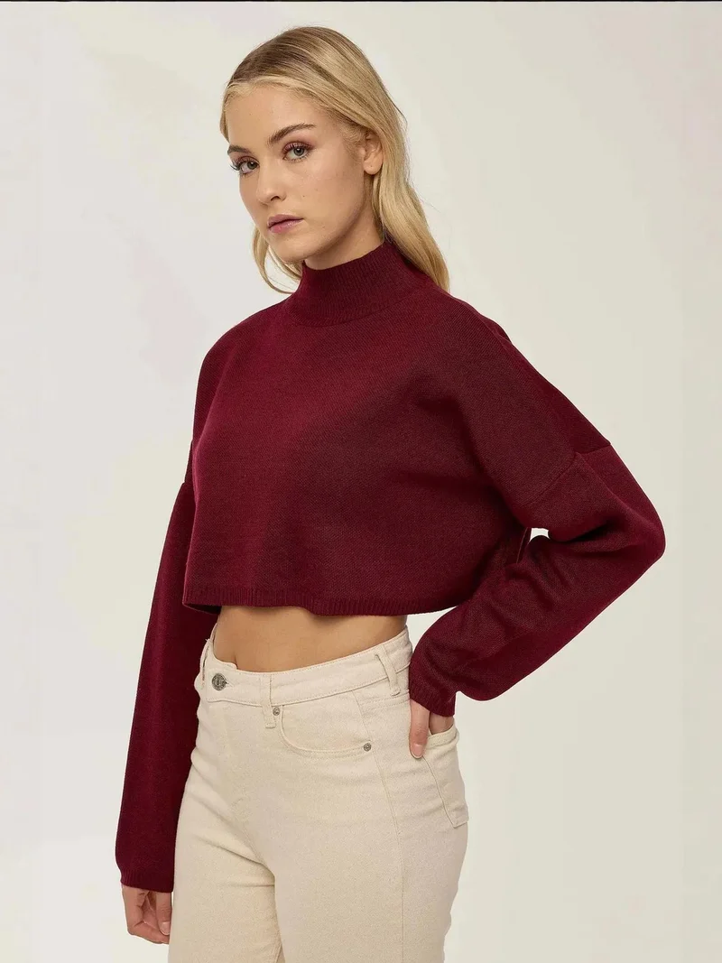 HICCUP Turtleneck Crop Sweater