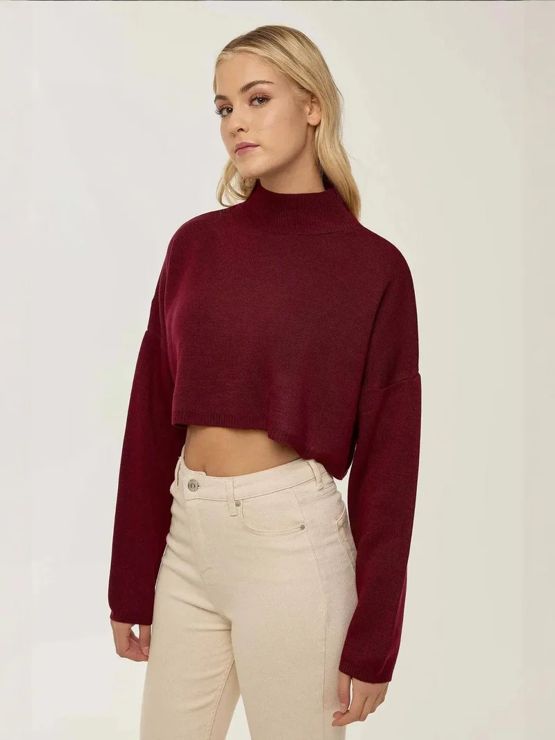 HICCUP Turtleneck Crop Sweater