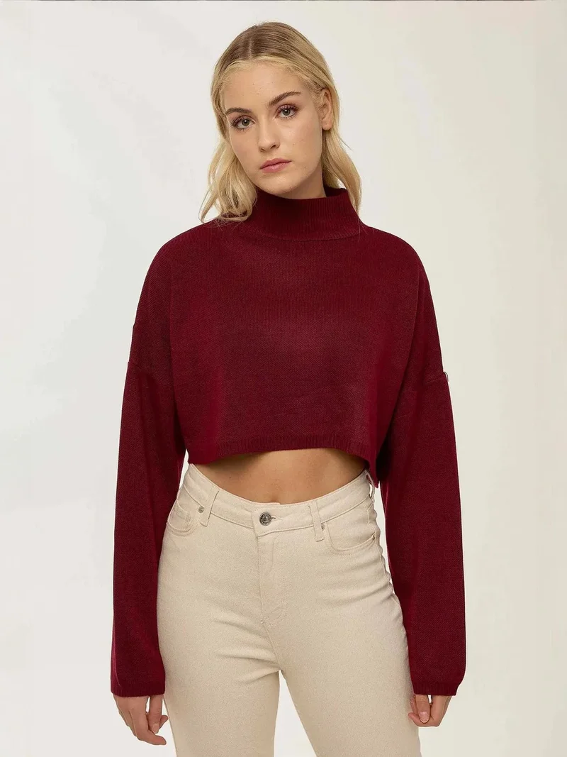 HICCUP Turtleneck Crop Sweater