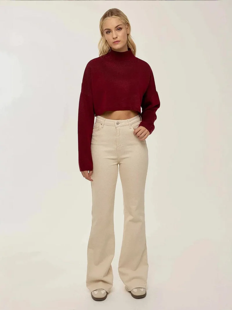 HICCUP Turtleneck Crop Sweater