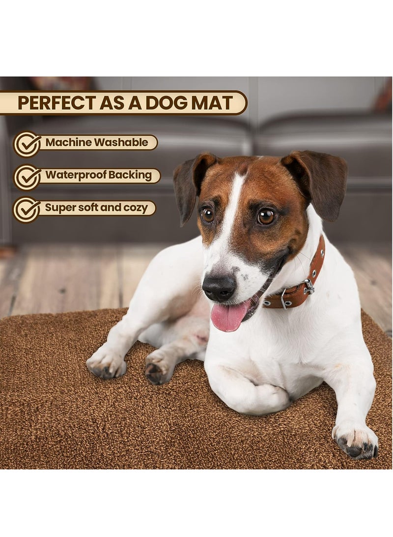 RATSAW Door Mat Indoor Entrance 40cm X 60cm Entryway Rugs Indoor Super Absorbent Washable Microfiber Rugs for Entryway Non Slip Door Mat Indoor Entrance Indoor Door Mat - Image 3