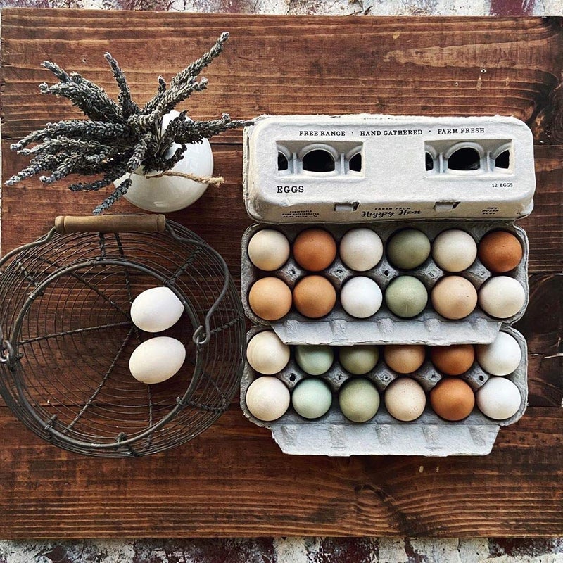 Henlay Egg Cartons Adorable Printed Design for Farm Fresh Eggs Recycled Paper Cardboard Sturdy  Reusable Holds up to XL Chicken Eggs Blank Stamping 25