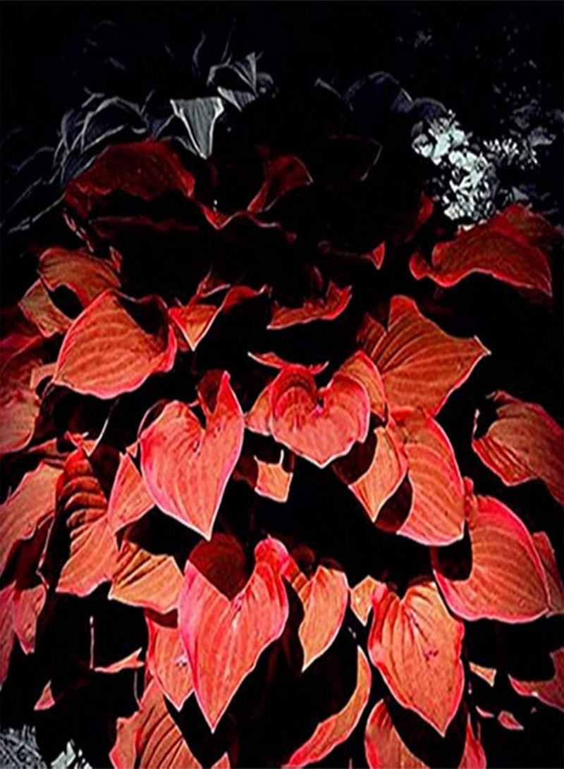 GGOOT Seed for Planting,1 Bag Hosta Seed Aesthetic Easy Grow 3 Colors Natural Flower Seed for Garden Hosta Seed for Balcony-Green-Hosta Seeds - Image 3