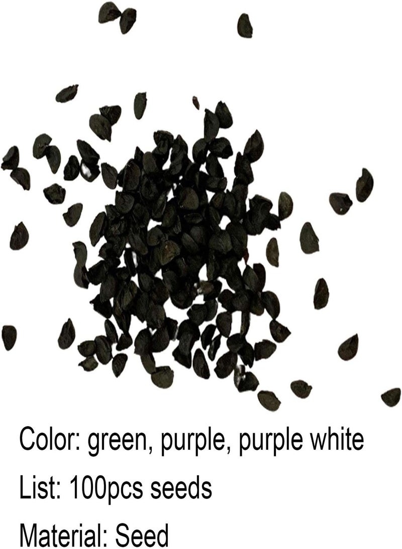 GGOOT Seed for Planting,1 Bag Hosta Seed Aesthetic Easy Grow 3 Colors Natural Flower Seed for Garden Hosta Seed for Balcony-Green-Hosta Seeds - Image 2