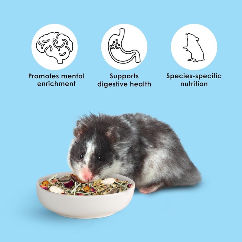 Kaytee Food from The Wild Natural Pet Hamster Food, 2 Pound - Image 4