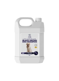 Caline BlackOrchid Dog Shampoo, 5L, Premium Formula, Deep Cleansing, Moisturizing, Enhancing Coat Shine 