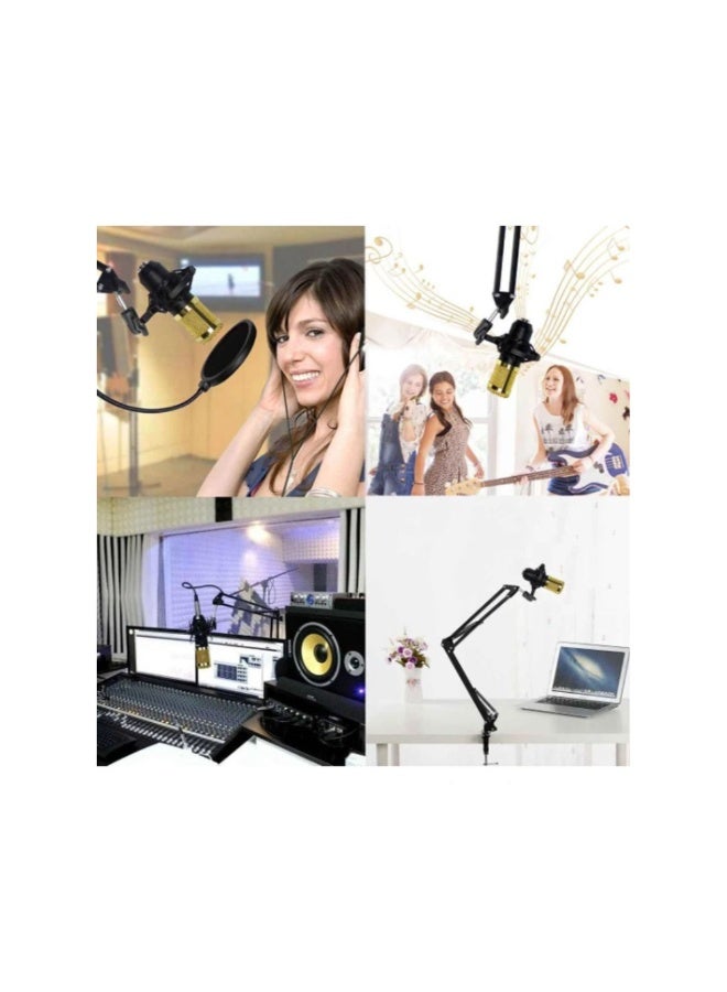 ACLIX Multifunctional Live Sound Card Microphone Set Condenser Mic With Phantom power for YouTube/Gaming Record - Image 3