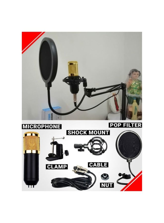 ACLIX Multifunctional Live Sound Card Microphone Set Condenser Mic With Phantom power for YouTube/Gaming Record - Image 4