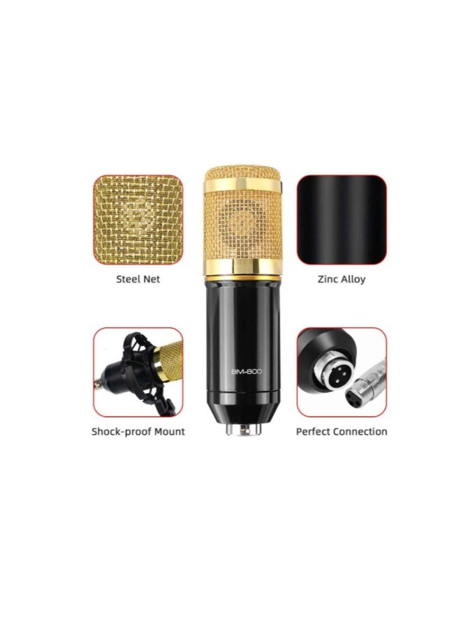 ACLIX Multifunctional Live Sound Card Microphone Set Condenser Mic With Phantom power for YouTube/Gaming Record - Image 2