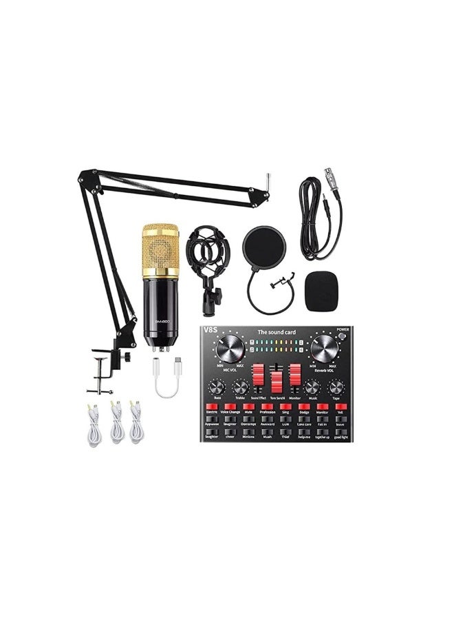 ACLIX Multifunctional Live Sound Card Microphone Set Condenser Mic With Phantom power for YouTube/Gaming Record - Image 1