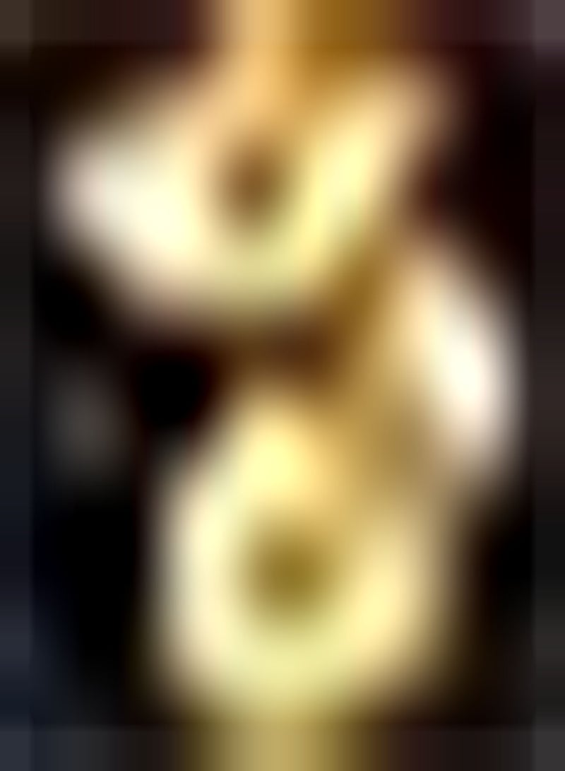 GGOOT 10pcs Oranje gladiolen bollen enkele Plant of Groot gebied planteffect goede uitstekende keuze voor bloembed en verhoogd Bed decoratie - Image 3