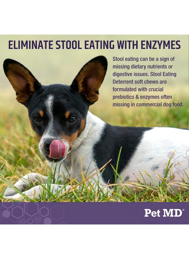 بيت إم دي مانع أكل البراز من Pet MD - يمنع الكلب من أكل البراز - ينفر من أكل البراز مع إنزيمات وأعشاب وبريبايوتكس لدعم الهضم وتنفس منعش - مضغ يمنع أكل البراز - 60 قرصًا - Image 4
